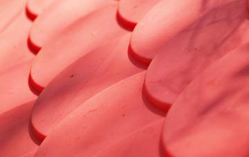 Hollies Common plastic roof costs